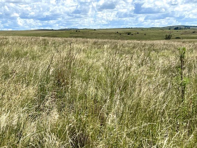 0 Bedroom Property for Sale in Lindley Free State